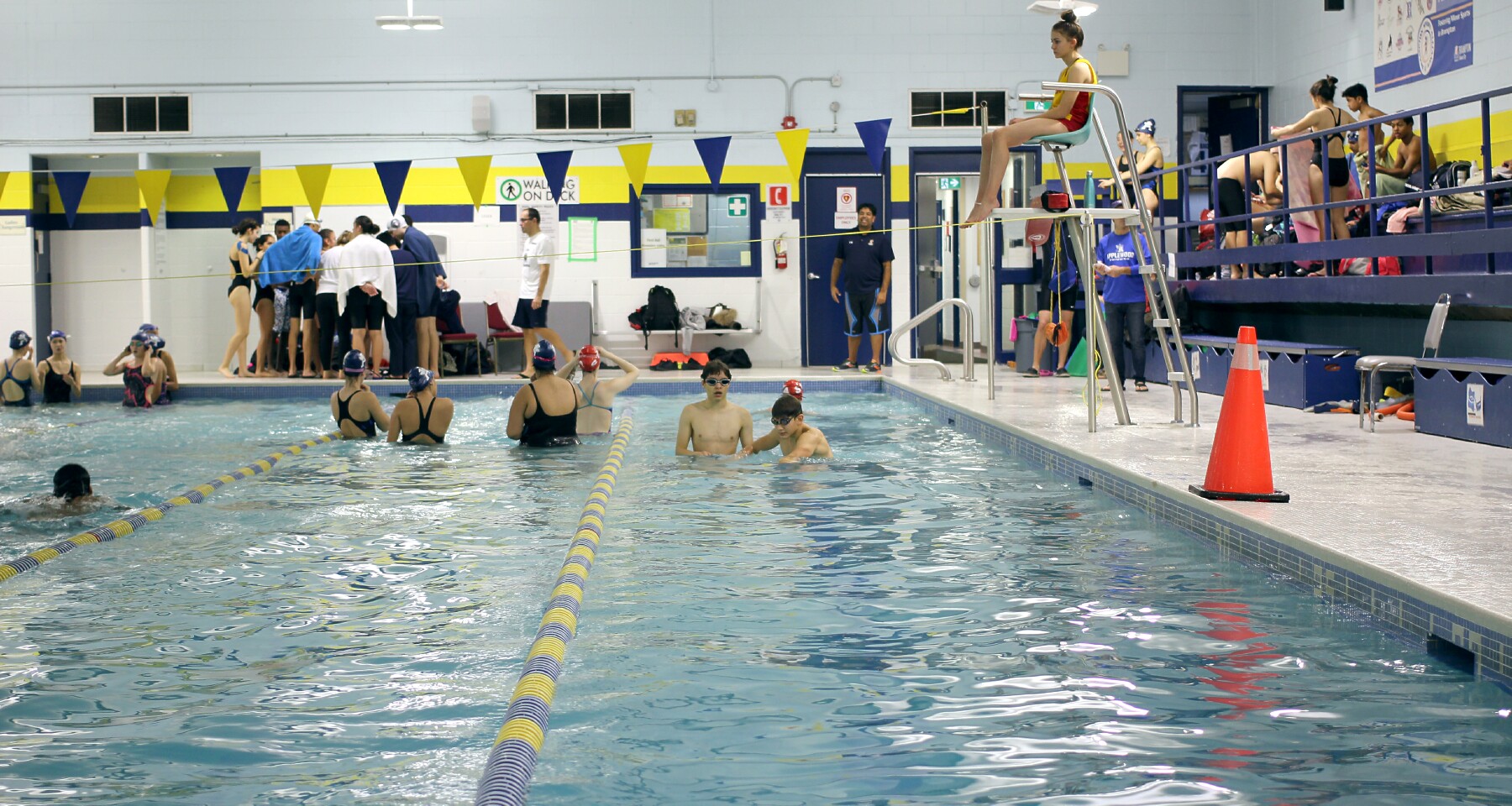 St. Thomas Aquinas Secondary, Brampton: Swim Team