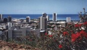 Downtown Honolulu